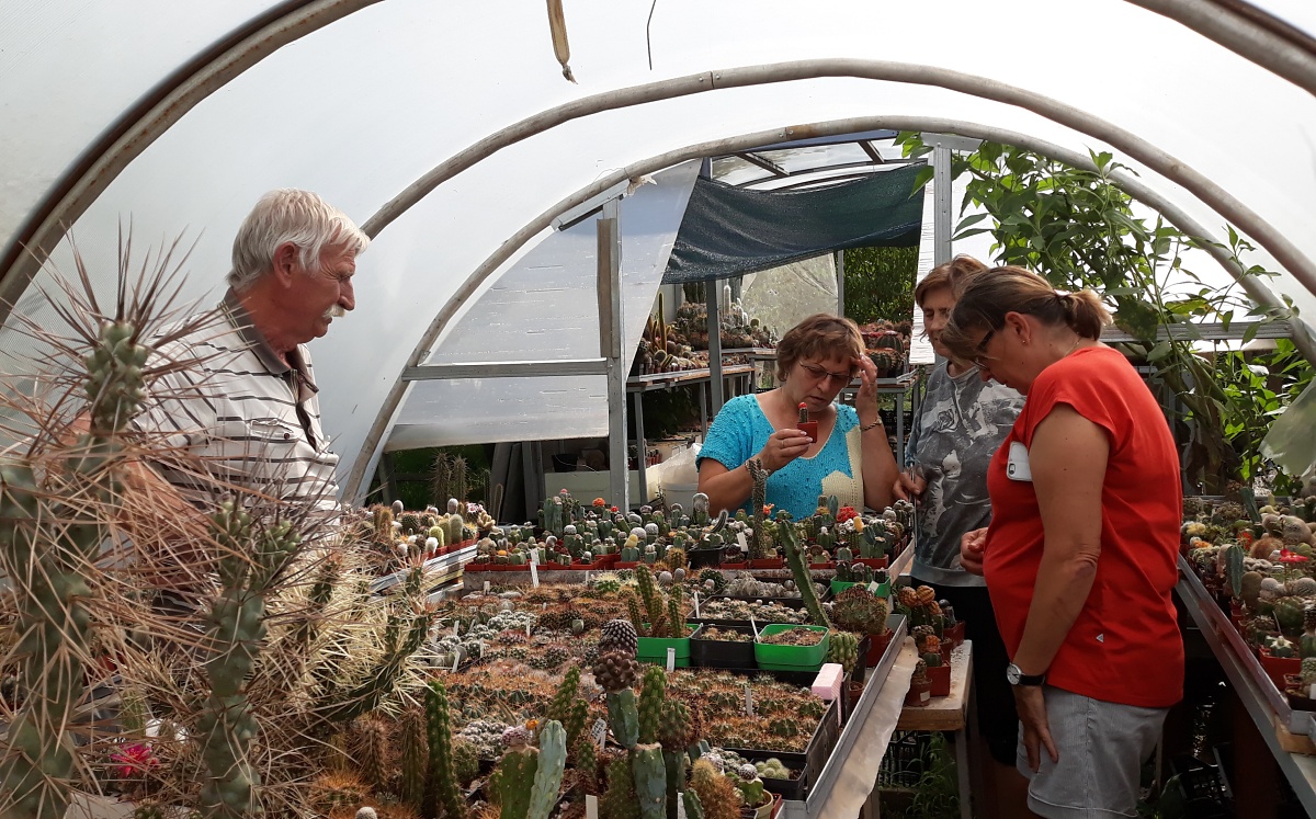 v bohatom rastlinnom svete Popíkovcov